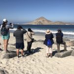 Pan de Azucar 4