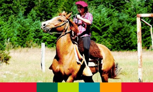 destacado-carretera-austral